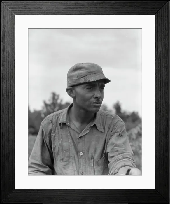Framed Print : Member of the Delta cooperative farm at Hillhouse, Mississippi, 1937. Creator: Dorothea Lange Framed Print : Member of the Delta cooperative farm at Hillhouse, Mississippi, 1937. Creator: Dorothea Lange