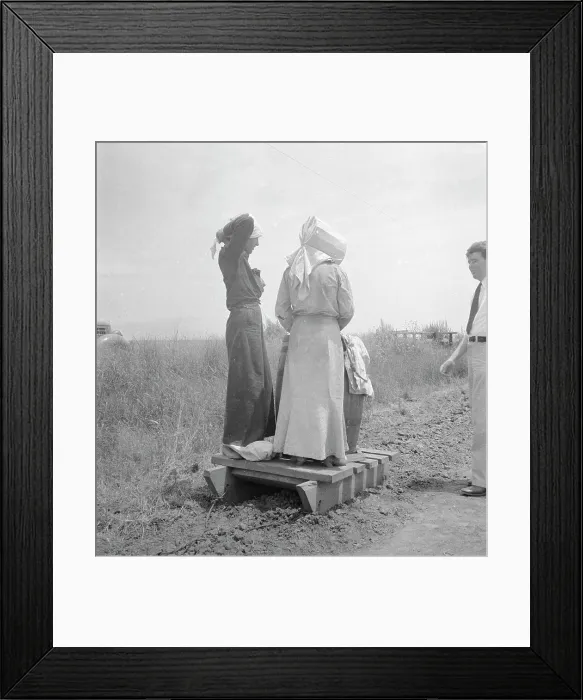 Framed Print : Cotton picking in south Texas, 1936. Creator: Dorothea Lange Framed Print : Cotton picking in south Texas, 1936. Creator: Dorothea Lange