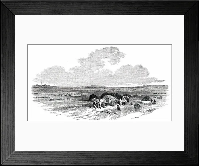 Framed Print : The Bog of Allen, from the Canal Side, 1850. Creator: Smyth Framed Print : The Bog of Allen, from the Canal Side, 1850. Creator: Smyth