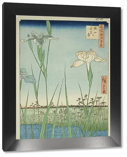 Irises at Horikiri (Horikiri no hanashobu), from the series 'One Hundred Famous Views... 1857. Creator: Ando Hiroshige. Irises at Horikiri (Horikiri no hanashobu), from the series 'One Hundred Famous Views... 1857. Creator: Ando Hiroshige