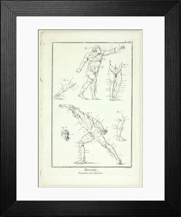 Framed Print : Design: Proportions of the Gladiator, from Encyclopédie, 1762 / 77. Creator: Benoit-Louis Prevost Framed Print : Design: Proportions of the Gladiator, from Encyclopédie, 1762 / 77. Creator: Benoit-Louis Prevost