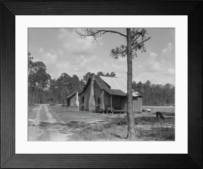 Framed Print : Turpentine worker's cabins, Valdosta, Georgia, 1937. Creator: Dorothea Lange Framed Print : Turpentine worker's cabins, Valdosta, Georgia, 1937. Creator: Dorothea Lange