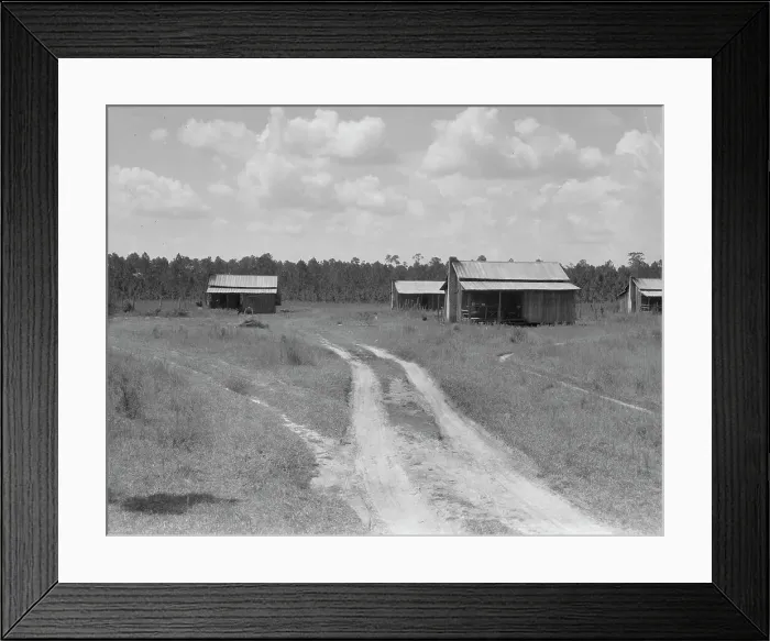 Framed Print : Turpentine worker's cabins, Valdosta, Georgia, 1937. Creator: Dorothea Lange Framed Print : Turpentine worker's cabins, Valdosta, Georgia, 1937. Creator: Dorothea Lange