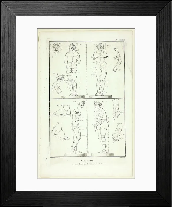 Framed Print : Design: Proportions of the Medici Venus, from Encyclopédie, 1762 / 77. Creator: Benoit-Louis Prevost