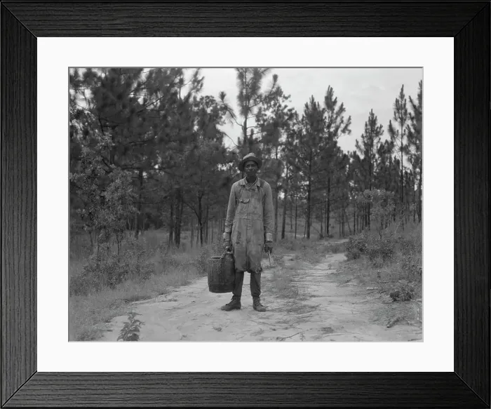 Framed Print : Turpentine dipper near Waycross, Georgia, 1937. Creator: Dorothea Lange