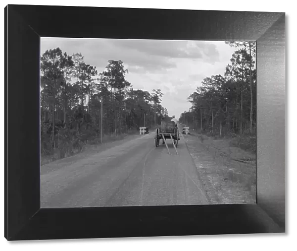 Wagon hauling turpentine out of the woods, Georgia, 1937. Creator: Dorothea Lange
