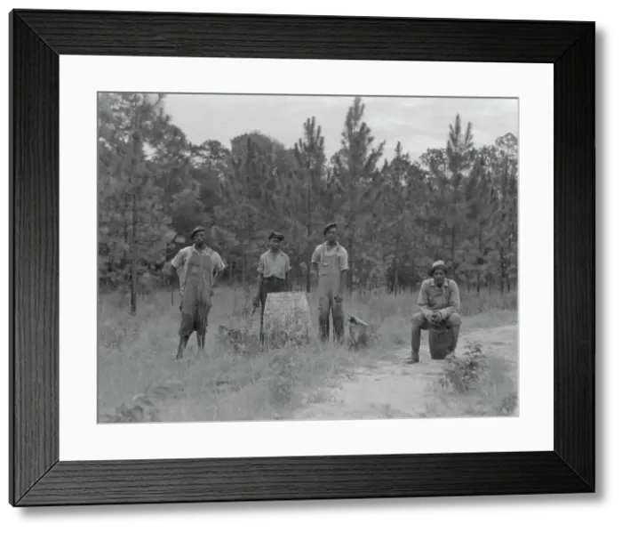 Framed Print : Turpentine workers, Georgia, 1937. Creator: Dorothea Lange Framed Print : Turpentine workers, Georgia, 1937. Creator: Dorothea Lange