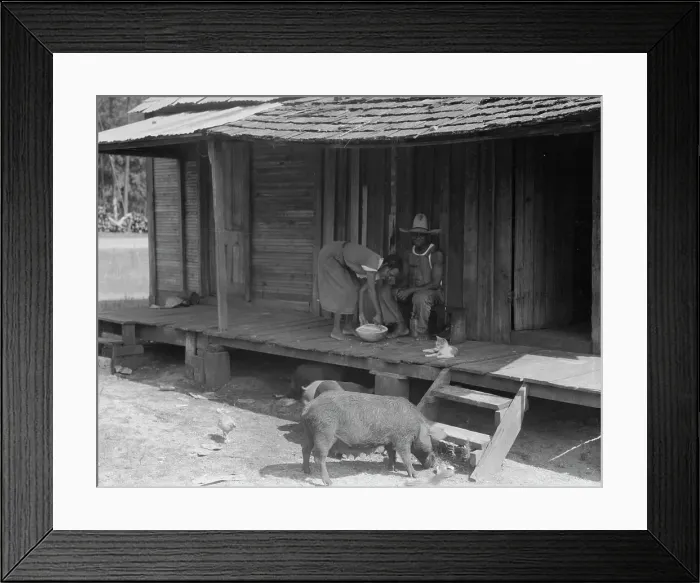 Framed Print : Turpentine worker's home, Georgia, 1937. Creator: Dorothea Lange Framed Print : Turpentine worker's home, Georgia, 1937. Creator: Dorothea Lange