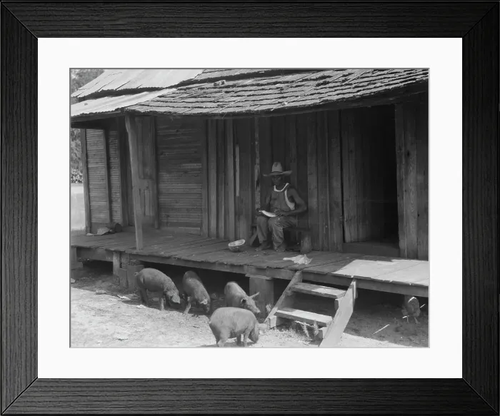 Framed Print : Turpentine worker's home, Georgia, 1937. Creator: Dorothea Lange