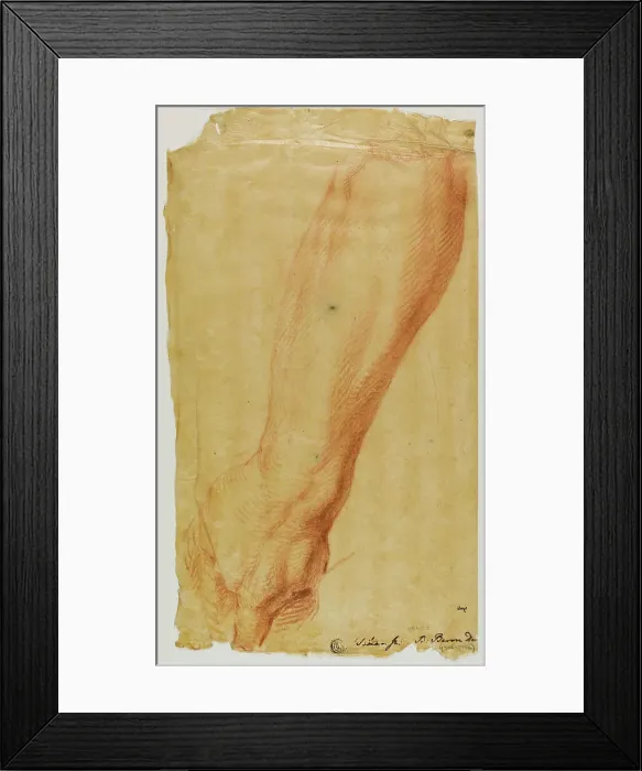 Framed Print : Left Arm of a Hunter, n.d. Creator: Bernard Baron Framed Print : Left Arm of a Hunter, n.d. Creator: Bernard Baron