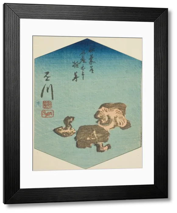 Framed Print : Kakegawa, section of sheet no. 7 from the series Cutout Pictures of the Tokaido Road... c.1848 / 52. Creator: Ando Hiroshige. Kakegawa, section of sheet no. 7 from the series Cutout Pictures of the Tokaido Road... c.1848 / 52 Framed Print : Kakegawa, section of sheet no. 7 from the series Cutout Pictures of the Tokaido Road... c.1848 / 52. Creator: Ando Hiroshige. Kakegawa, section of sheet no. 7 from the series Cutout Pictures of the Tokaido Road... c.1848 / 52