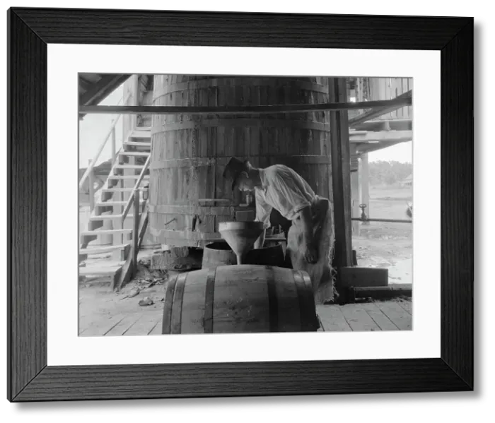 Framed Print : Turpentine stiller near Valdosta, Georgia, 1937. Creator: Dorothea Lange. Turpentine stiller near Valdosta, Georgia, 1937. Creator: Dorothea Lange Framed Print : Turpentine stiller near Valdosta, Georgia, 1937. Creator: Dorothea Lange. Turpentine stiller near Valdosta, Georgia, 1937. Creator: Dorothea Lange