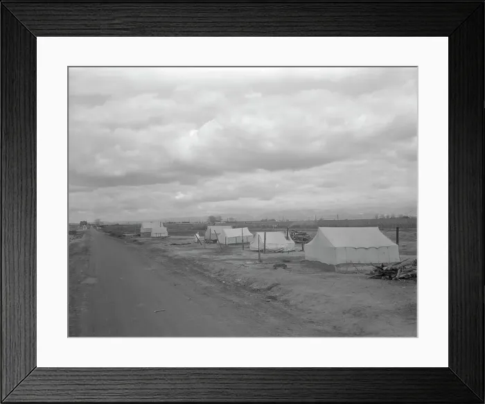 Framed Print : Roadside ranch camp owned by opposer to Resettlement Administration's Kern County migrant... 1936. Creator: Dorothea Lange Framed Print : Roadside ranch camp owned by opposer to Resettlement Administration's Kern County migrant... 1936. Creator: Dorothea Lange