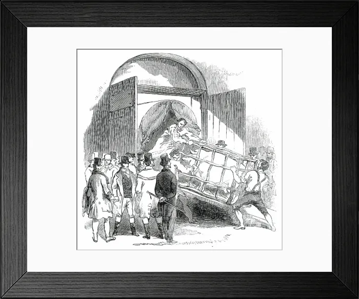 Framed Print : The Annual Exhibition of the Smithfield Club - Carting away a Pig, 1850. Creator: Unknown Framed Print : The Annual Exhibition of the Smithfield Club - Carting away a Pig, 1850. Creator: Unknown