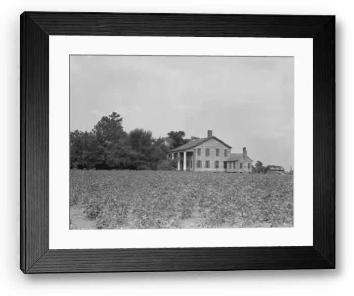 Framed Print : Pharr Plantation house near Social Circle, Georgia, 1937. Creator: Dorothea Lange Framed Print : Pharr Plantation house near Social Circle, Georgia, 1937. Creator: Dorothea Lange