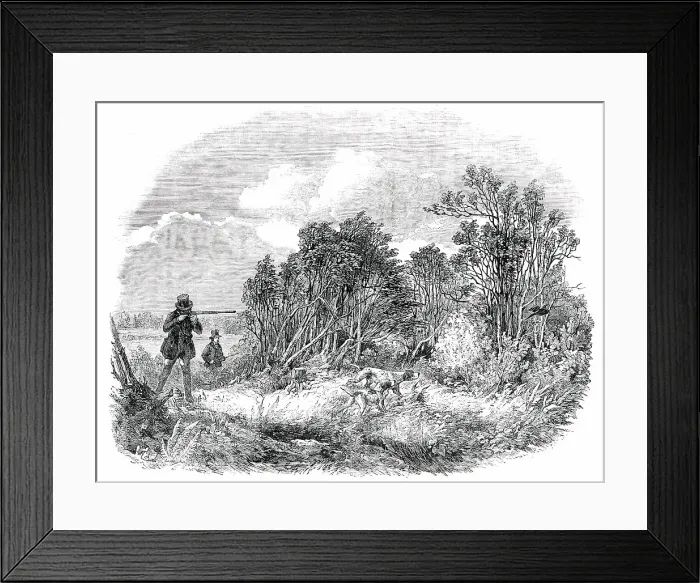 Framed Print : Pheasant-Shooting - drawn by Duncan, 1850. Creator: Unknown Framed Print : Pheasant-Shooting - drawn by Duncan, 1850. Creator: Unknown