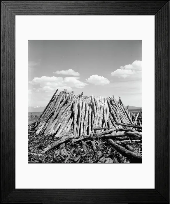 Framed Print : Central Utah dry land adjustment project, forty miles from Tooele, Utah, 1936. Creator: Dorothea Lange Framed Print : Central Utah dry land adjustment project, forty miles from Tooele, Utah, 1936. Creator: Dorothea Lange
