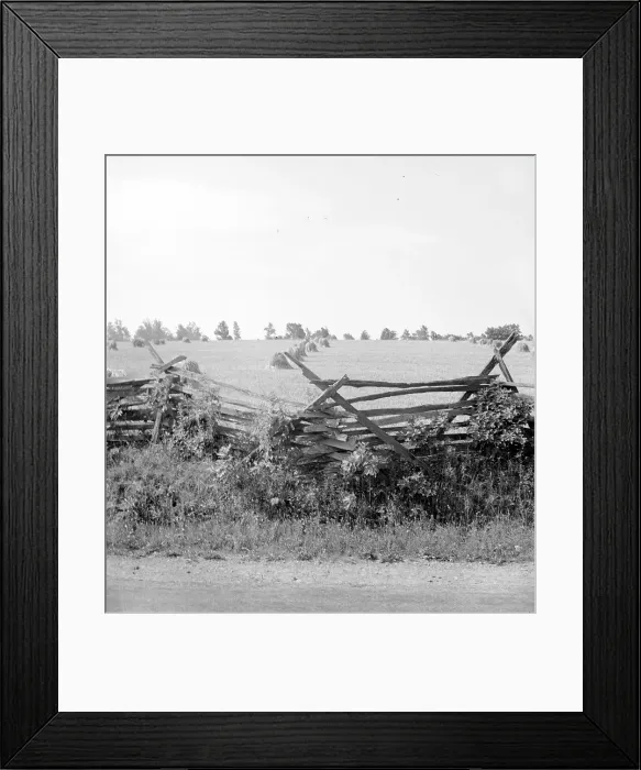 Framed Print : Virginia wheat field, 1936. Creator: Dorothea Lange Framed Print : Virginia wheat field, 1936. Creator: Dorothea Lange