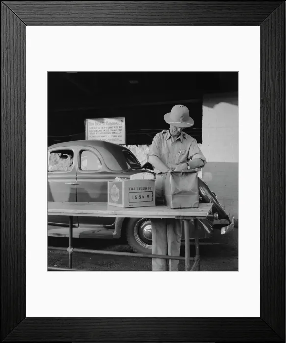 Framed Print : California state plant quarantine inspector examining baggage for insect pests, Arizona, 1937. Creator: Dorothea Lange Framed Print : California state plant quarantine inspector examining baggage for insect pests, Arizona, 1937. Creator: Dorothea Lange