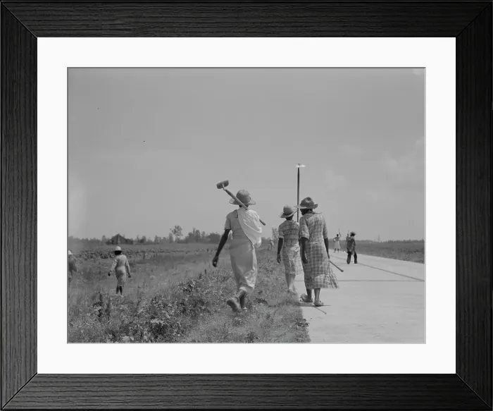 Framed Print : Cotton hoers (day laborers) move from one field across... Mississippi Delta, 1937. Creator: Dorothea Lange Framed Print : Cotton hoers (day laborers) move from one field across... Mississippi Delta, 1937. Creator: Dorothea Lange