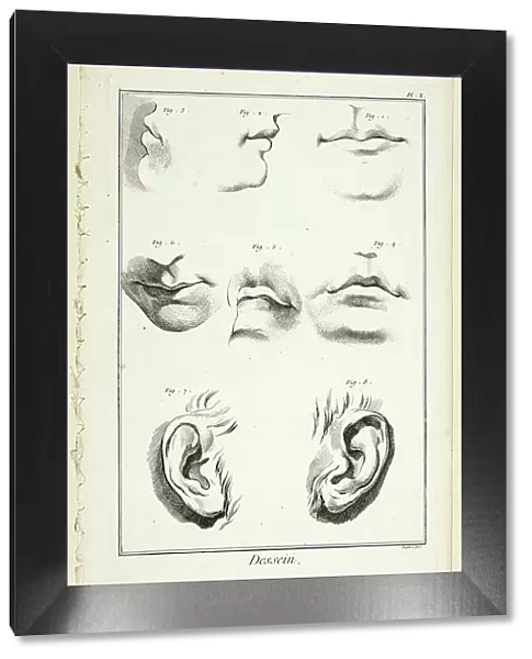 Design: Facial Anatomy from Encyclopédie, 1762 / 77. Creator: A. J. Defehrt