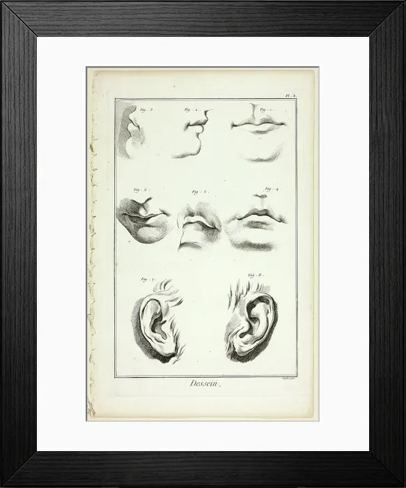 Framed Print : Design: Facial Anatomy from Encyclopédie, 1762 / 77. Creator: A. J. Defehrt Framed Print : Design: Facial Anatomy from Encyclopédie, 1762 / 77. Creator: A. J. Defehrt