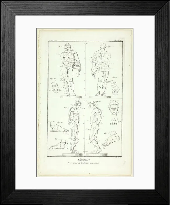 Framed Print : Design: Proportions of the Antinoüs Statue, from Encyclopédie, 1762 / 77. Creator: A. J. Defehrt Framed Print : Design: Proportions of the Antinoüs Statue, from Encyclopédie, 1762 / 77. Creator: A. J. Defehrt