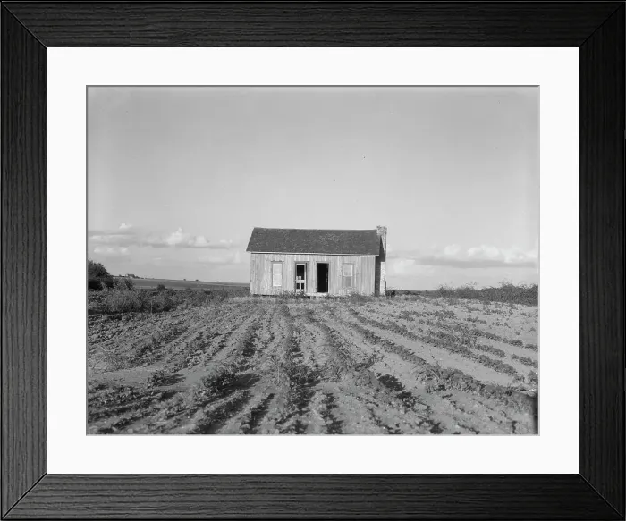 Framed Print : Abandoned tenant house, Childress County, Texas, 1937. Creator: Dorothea Lange Framed Print : Abandoned tenant house, Childress County, Texas, 1937. Creator: Dorothea Lange