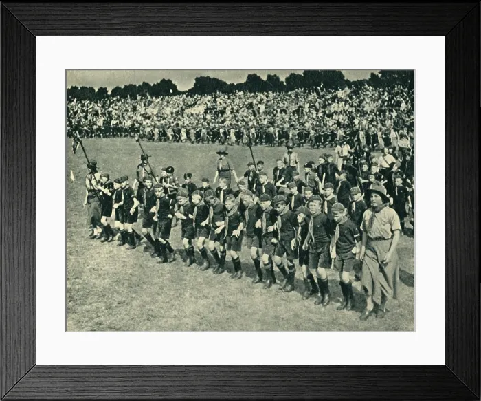 Framed Print : Wolf Cubs, 1944. Creator: Unknown Framed Print : Wolf Cubs, 1944. Creator: Unknown