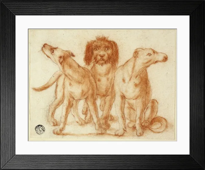 Framed Print : Three Dogs, n.d. Creator: Unknown Framed Print : Three Dogs, n.d. Creator: Unknown