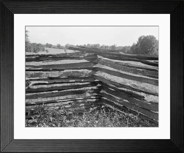 Framed Print : Split-log fence, North central Arkansas, along U.S. 62, 1938. Creator: Dorothea Lange Framed Print : Split-log fence, North central Arkansas, along U.S. 62, 1938. Creator: Dorothea Lange