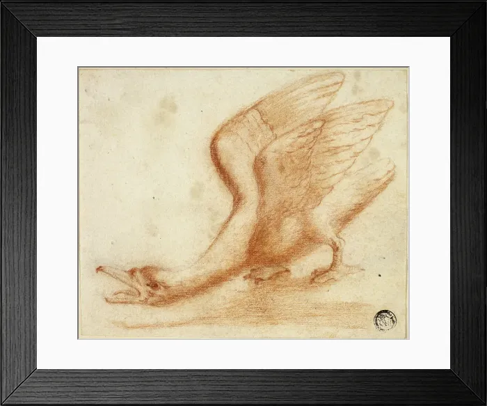Framed Print : Swan, n.d. Creator: Unknown Framed Print : Swan, n.d. Creator: Unknown