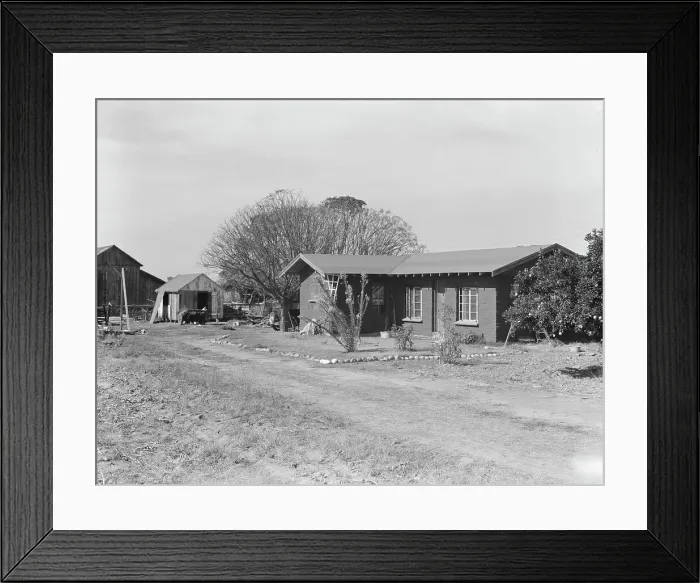 Framed Print : Rural rehabilitation, Tulare County, California, 1938. Creator: Dorothea Lange Framed Print : Rural rehabilitation, Tulare County, California, 1938. Creator: Dorothea Lange