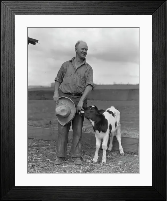 Framed Print : Rural Rehabilitation Administration client, Hayward, California, 1936. Creator: Dorothea Lange Framed Print : Rural Rehabilitation Administration client, Hayward, California, 1936. Creator: Dorothea Lange