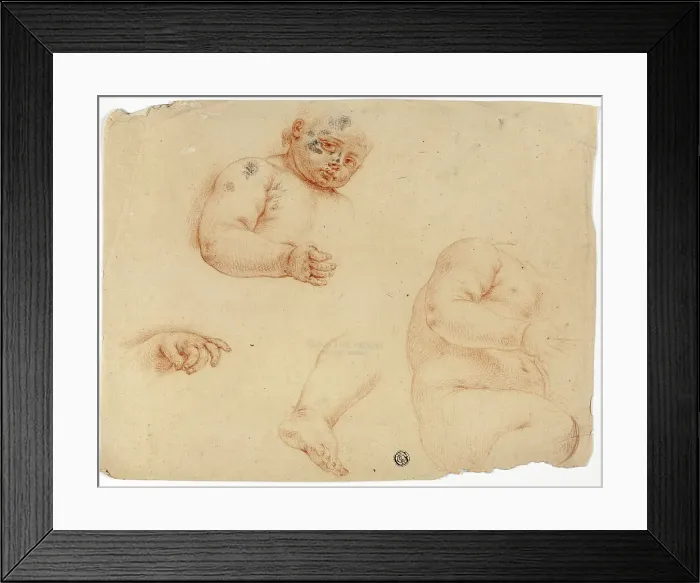 Framed Print : Sketches of a Child: Half-Length, Torso, Foot, Hand, 1700 / 1799. Creator: Unknown Framed Print : Sketches of a Child: Half-Length, Torso, Foot, Hand, 1700 / 1799. Creator: Unknown
