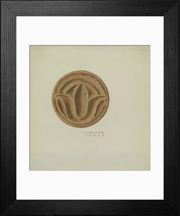 Framed Print : Pa. German Butter Mold, c. 1940. Creator: Charlotte Angus Framed Print : Pa. German Butter Mold, c. 1940. Creator: Charlotte Angus