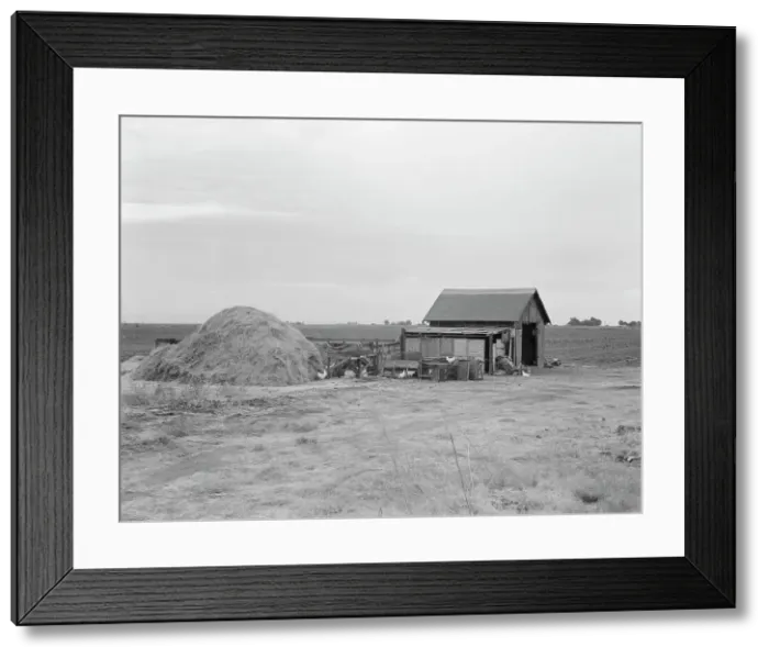 Framed Print : Small farm, Kern County, California, 1938. Creator: Dorothea Lange Framed Print : Small farm, Kern County, California, 1938. Creator: Dorothea Lange