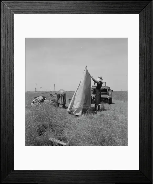 Framed Print : Migrant potato pickers pitching... Near Shafter, California, 1937. Creator: Dorothea Lange Framed Print : Migrant potato pickers pitching... Near Shafter, California, 1937. Creator: Dorothea Lange