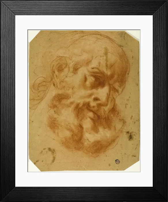 Framed Print : Bearded Head, n.d. Creator: Unknown Framed Print : Bearded Head, n.d. Creator: Unknown