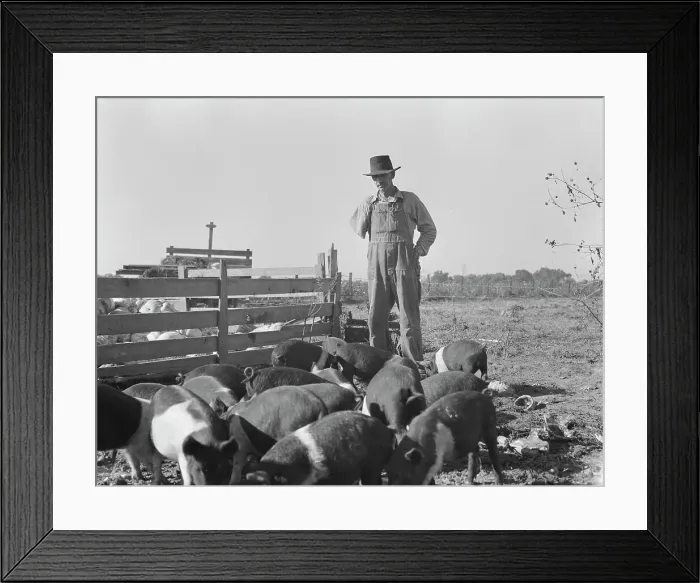 Framed Print : Farm Security Administration (FSA) rural rehabilitation client, Tulare County, California, 1938. Creator: Dorothea Lange Framed Print : Farm Security Administration (FSA) rural rehabilitation client, Tulare County, California, 1938. Creator: Dorothea Lange