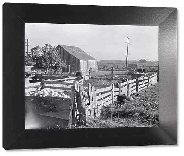 FSA rural rehabilitation client, Tulare County, California, 1938. Creator: Dorothea Lange