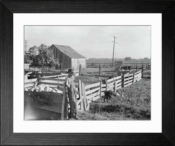 Framed Print : FSA rural rehabilitation client, Tulare County, California, 1938. Creator: Dorothea Lange Framed Print : FSA rural rehabilitation client, Tulare County, California, 1938. Creator: Dorothea Lange