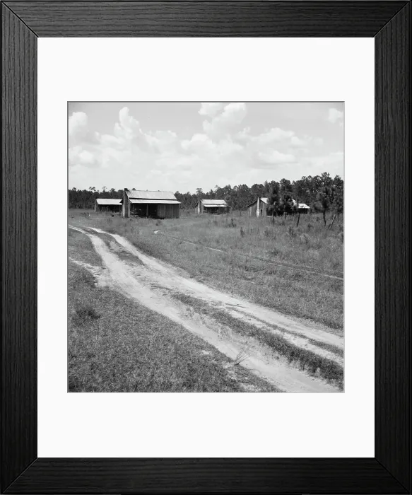 Framed Print : Turpentine worker's cabins, Valdosta, Georgia, 1937. Creator: Dorothea Lange Framed Print : Turpentine worker's cabins, Valdosta, Georgia, 1937. Creator: Dorothea Lange