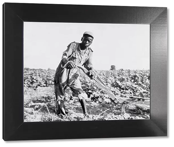 Thirteen-year old sharecropper boy near Americus, Georgia, 1937. Creator: Dorothea Lange