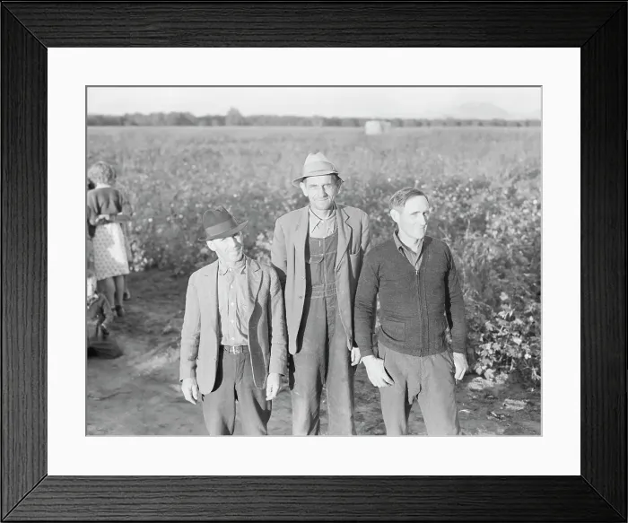 Framed Print : Ten families established by the FSA on the Mineral King Cooperative Farm, Tulare County, CA, 1938. Creator: Dorothea Lange Framed Print : Ten families established by the FSA on the Mineral King Cooperative Farm, Tulare County, CA, 1938. Creator: Dorothea Lange