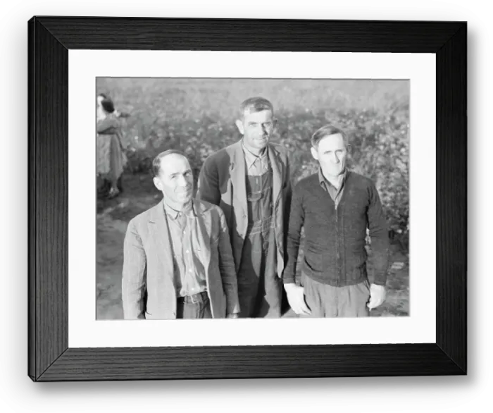 Framed Print : Board of directors of the Mineral King Farm Association, Tulare County, California, 1938. Creator: Dorothea Lange Framed Print : Board of directors of the Mineral King Farm Association, Tulare County, California, 1938. Creator: Dorothea Lange