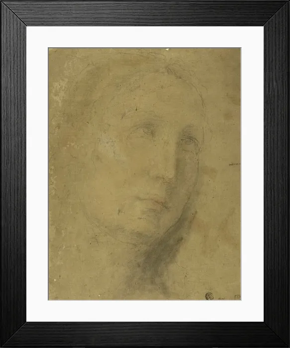 Framed Print : Head Looking Upwards, n.d. Creator: Unknown Framed Print : Head Looking Upwards, n.d. Creator: Unknown