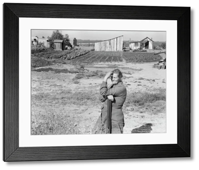 Framed Print : Rural rehabilitation, Tulare County, California, 1938. Creator: Dorothea Lange Framed Print : Rural rehabilitation, Tulare County, California, 1938. Creator: Dorothea Lange