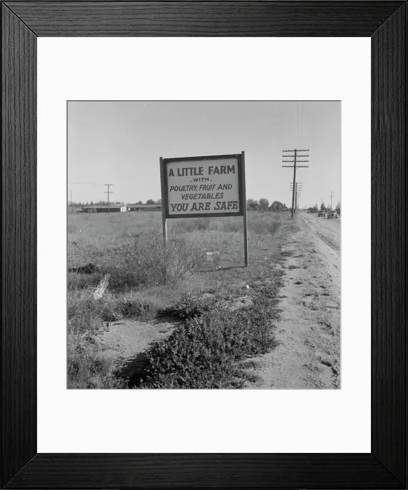 Framed Print : Real estate sign along the highway, Riverside County, California, 1937. Creator: Dorothea Lange