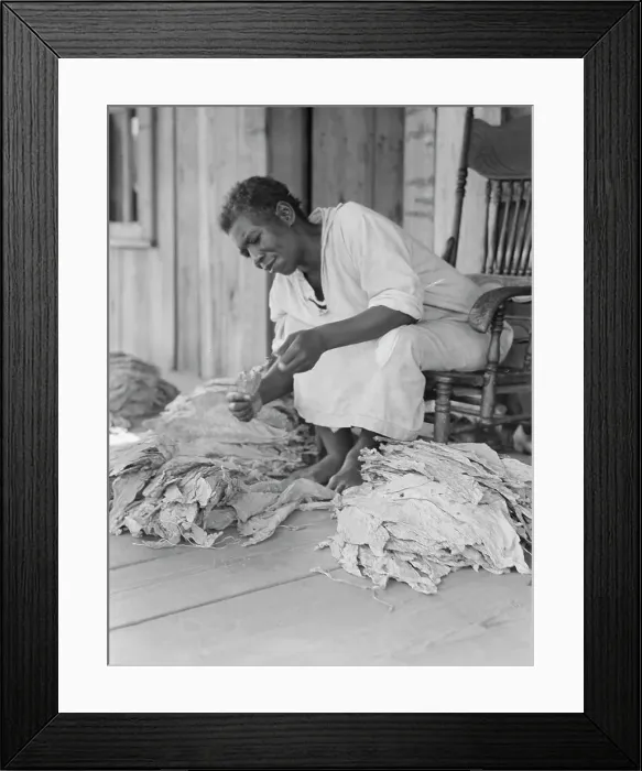 Framed Print : Near Douglas, Georgia, 1938. Creator: Dorothea Lange Framed Print : Near Douglas, Georgia, 1938. Creator: Dorothea Lange